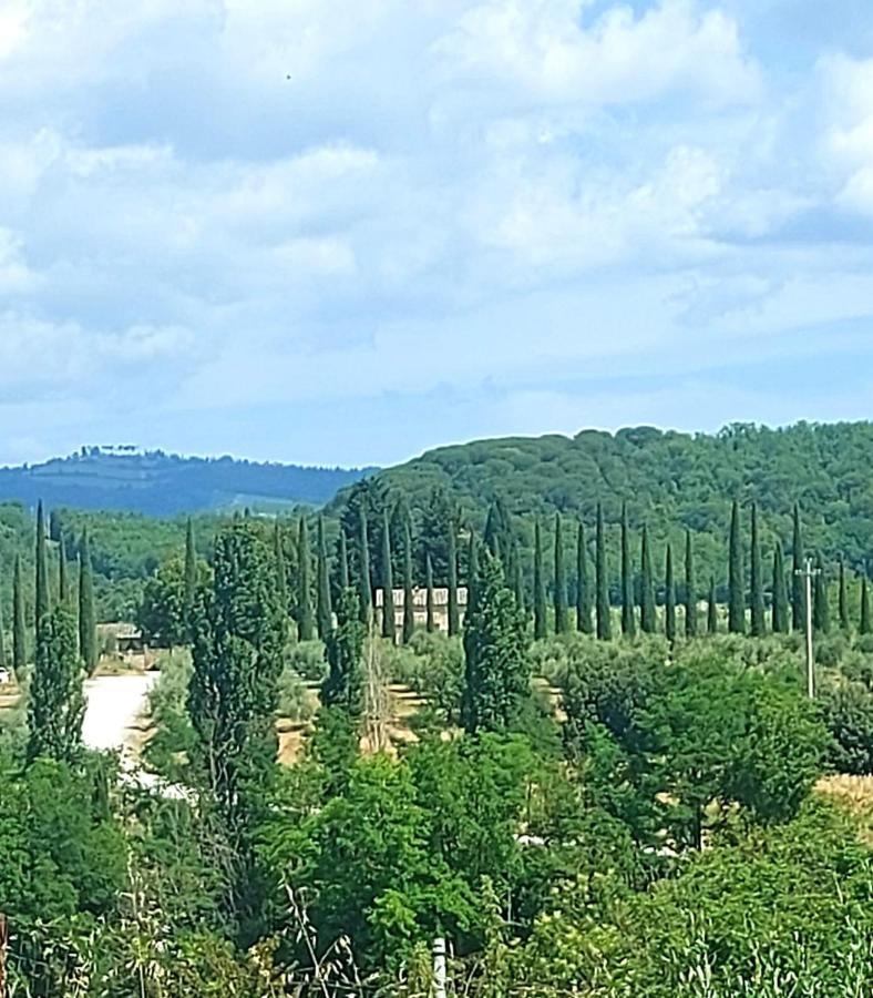 La Casa Di Elvira2 Villa Castelnuovo Berardenga Luaran gambar